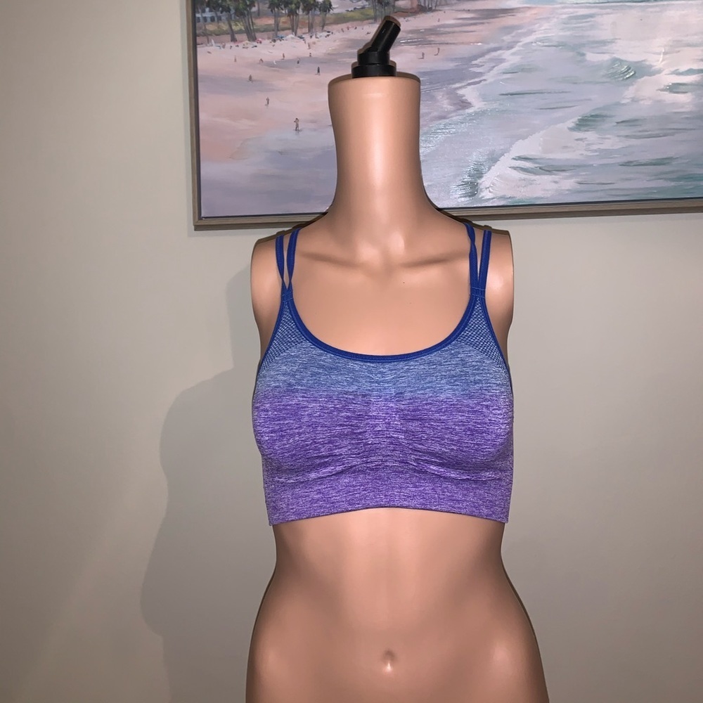 champion blue & purple sports bra size S